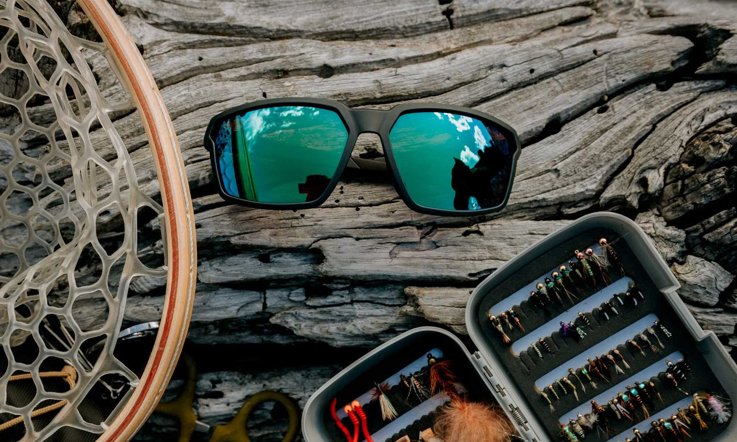 WX SIERRA